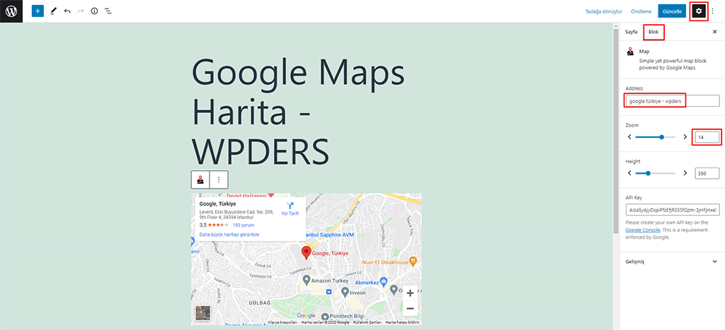 WordPress Google Maps Eklentisi Ayarları